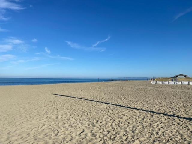 Casa Vacanza Surf & Kite Focene Kültér fotó
